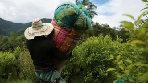 United States Designates the South American Nation as Non-Cooperative in Anti-Drug Efforts